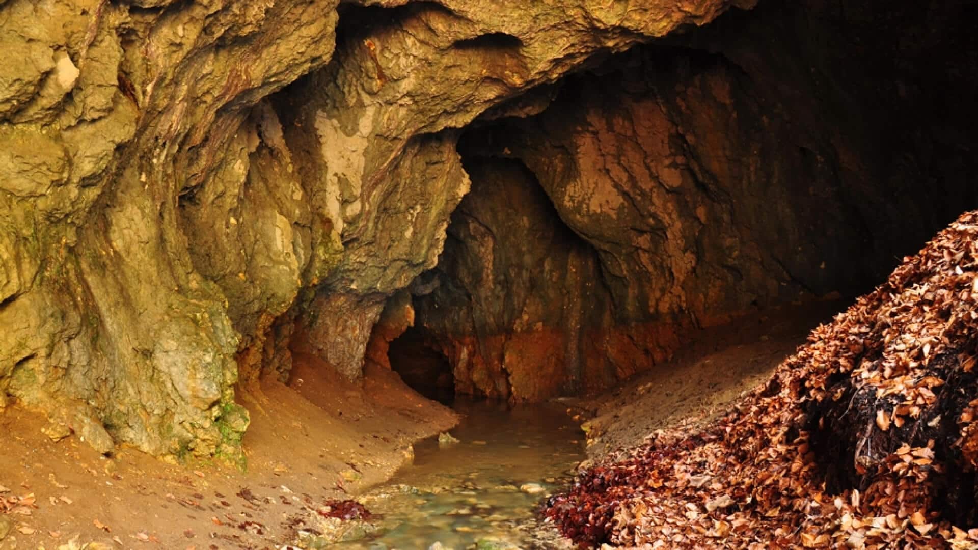 Peștera Ulucele